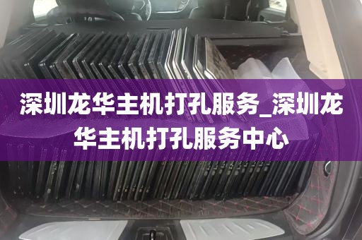 深圳龙华主机打孔服务_深圳龙华主机打孔服务中心
