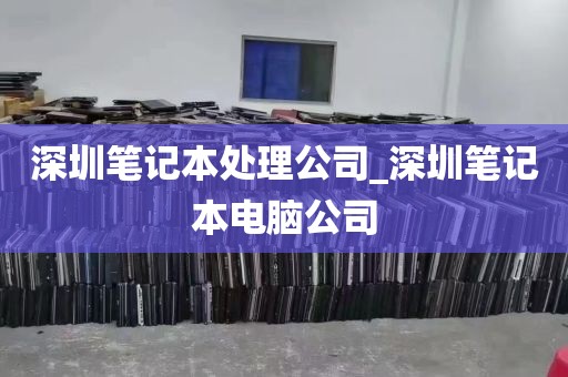 深圳笔记本处理公司_深圳笔记本电脑公司