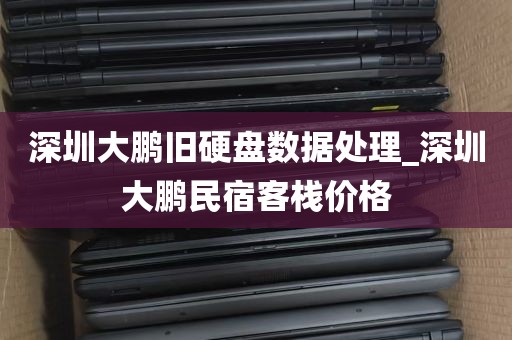 深圳大鹏旧硬盘数据处理_深圳大鹏民宿客栈价格