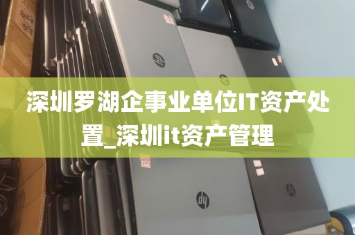 深圳罗湖企事业单位IT资产处置_深圳it资产管理