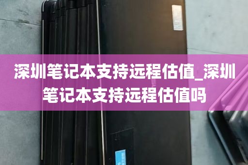 深圳笔记本支持远程估值_深圳笔记本支持远程估值吗