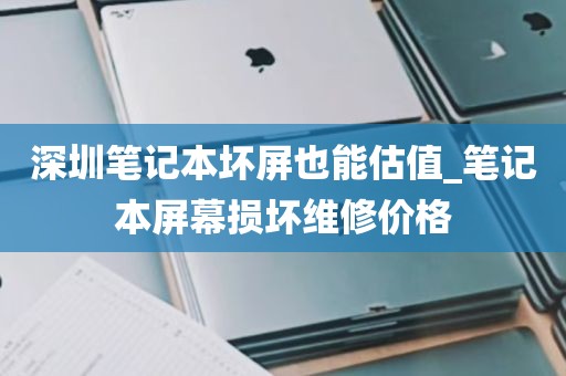 深圳笔记本坏屏也能估值_笔记本屏幕损坏维修价格