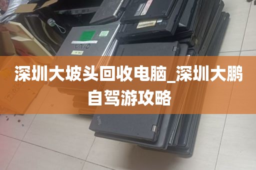 深圳大坡头回收电脑_深圳大鹏自驾游攻略
