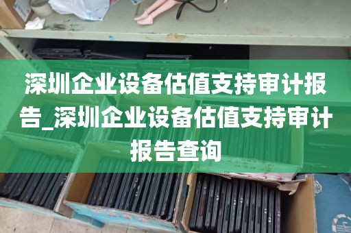 深圳企业设备估值支持审计报告_深圳企业设备估值支持审计报告查询