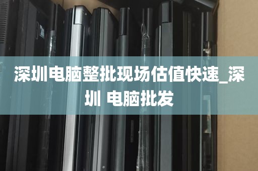 深圳电脑整批现场估值快速_深圳 电脑批发
