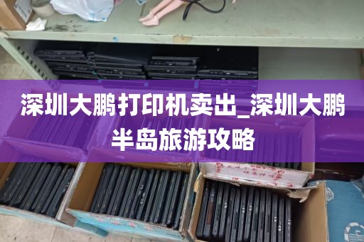 深圳大鹏打印机卖出_深圳大鹏半岛旅游攻略