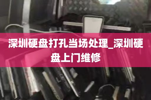 深圳硬盘打孔当场处理_深圳硬盘上门维修