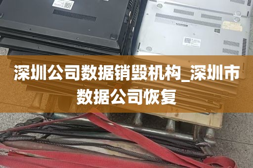 深圳公司数据销毁机构_深圳市数据公司恢复