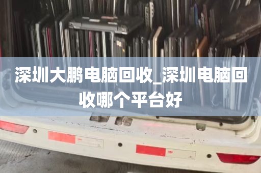 深圳大鹏电脑回收_深圳电脑回收哪个平台好