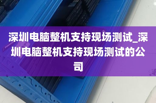 深圳电脑整机支持现场测试_深圳电脑整机支持现场测试的公司