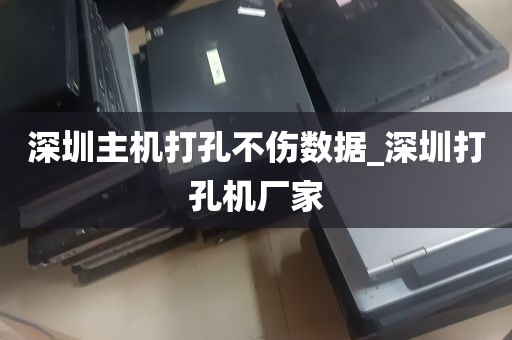 深圳主机打孔不伤数据_深圳打孔机厂家