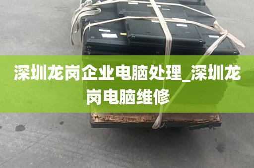 深圳龙岗企业电脑处理_深圳龙岗电脑维修