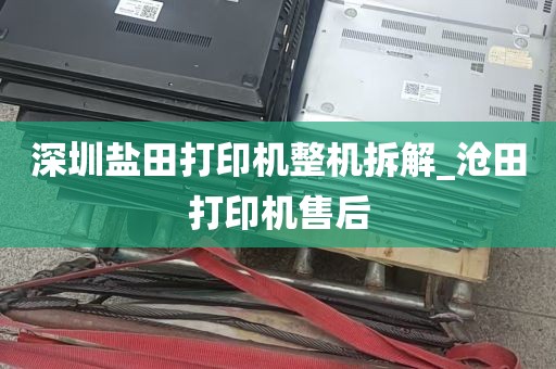 深圳盐田打印机整机拆解_沧田打印机售后