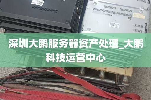 深圳大鹏服务器资产处理_大鹏科技运营中心