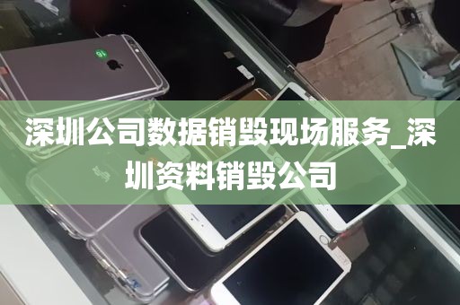 深圳公司数据销毁现场服务_深圳资料销毁公司