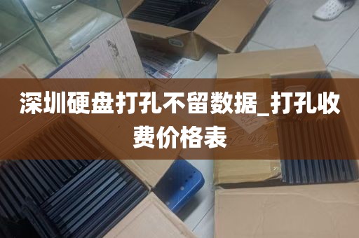 深圳硬盘打孔不留数据_打孔收费价格表