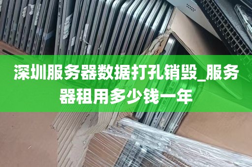 深圳服务器数据打孔销毁_服务器租用多少钱一年