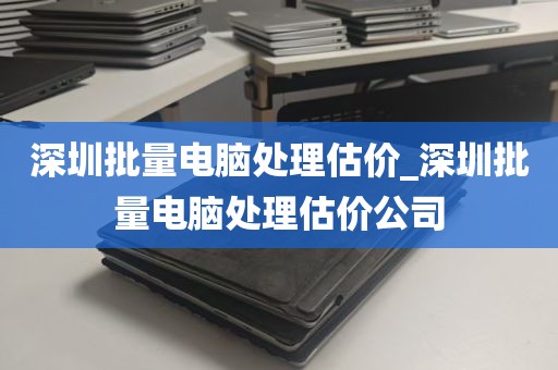 深圳批量电脑处理估价_深圳批量电脑处理估价公司