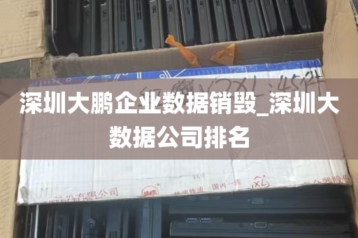 深圳大鹏企业数据销毁_深圳大数据公司排名