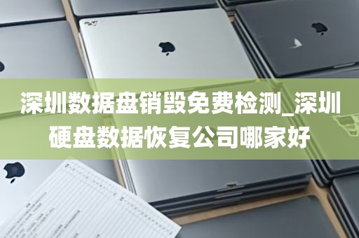 深圳数据盘销毁免费检测_深圳硬盘数据恢复公司哪家好