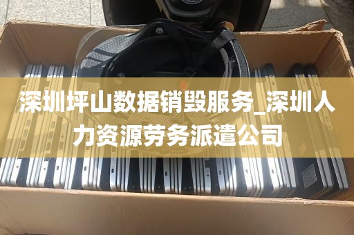 深圳坪山数据销毁服务_深圳人力资源劳务派遣公司