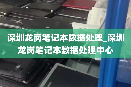 深圳龙岗笔记本数据处理_深圳龙岗笔记本数据处理中心