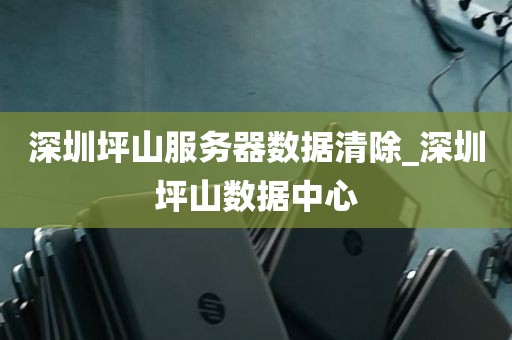 深圳坪山服务器数据清除_深圳坪山数据中心