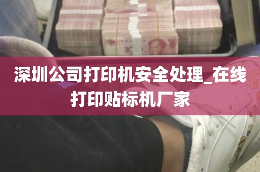 深圳公司打印机安全处理_在线打印贴标机厂家