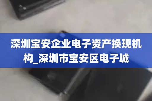 深圳宝安企业电子资产换现机构_深圳市宝安区电子城