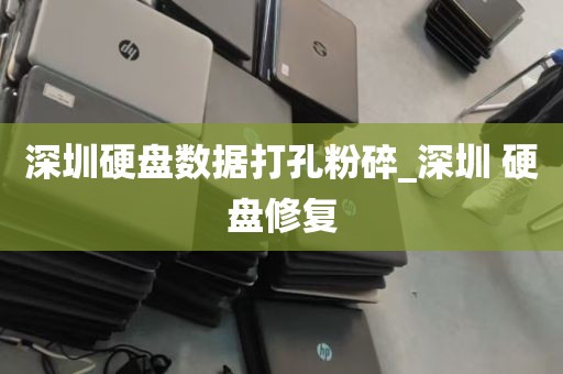 深圳硬盘数据打孔粉碎_深圳 硬盘修复