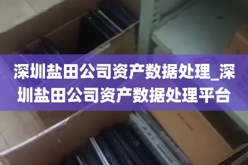 深圳盐田公司资产数据处理_深圳盐田公司资产数据处理平台