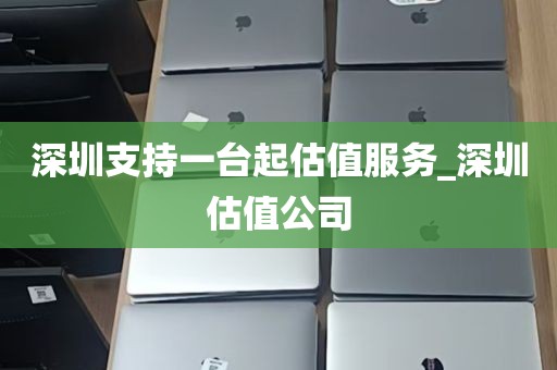 深圳支持一台起估值服务_深圳估值公司