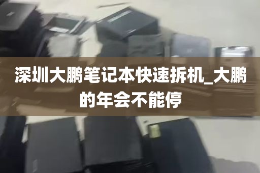 深圳大鹏笔记本快速拆机_大鹏的年会不能停