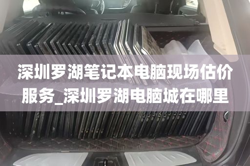 深圳罗湖笔记本电脑现场估价服务_深圳罗湖电脑城在哪里
