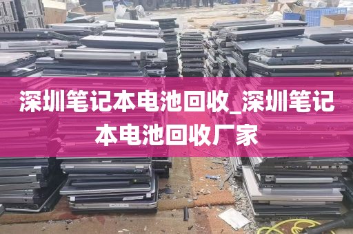 深圳笔记本电池回收_深圳笔记本电池回收厂家
