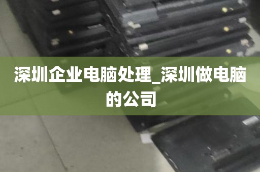 深圳企业电脑处理_深圳做电脑的公司