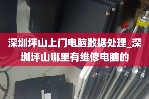 深圳坪山上门电脑数据处理_深圳坪山哪里有维修电脑的