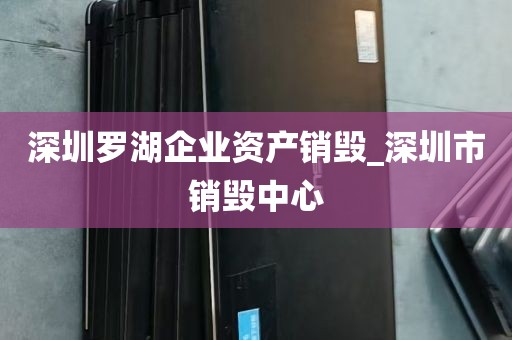 深圳罗湖企业资产销毁_深圳市销毁中心