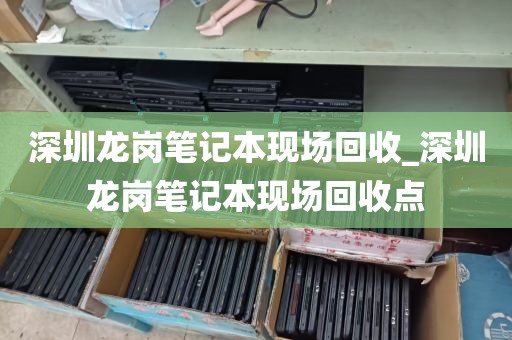 深圳龙岗笔记本现场回收_深圳龙岗笔记本现场回收点
