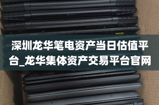 深圳龙华笔电资产当日估值平台_龙华集体资产交易平台官网